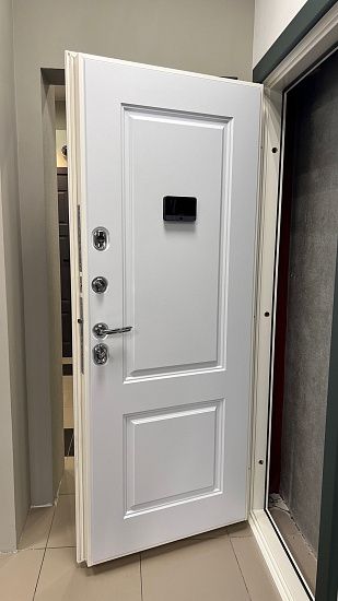 Входная дверь  