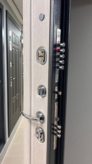 Входная дверь  